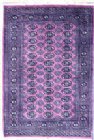 Asiatic Carpets - Bokhara Fine Pakistan Rug Design
